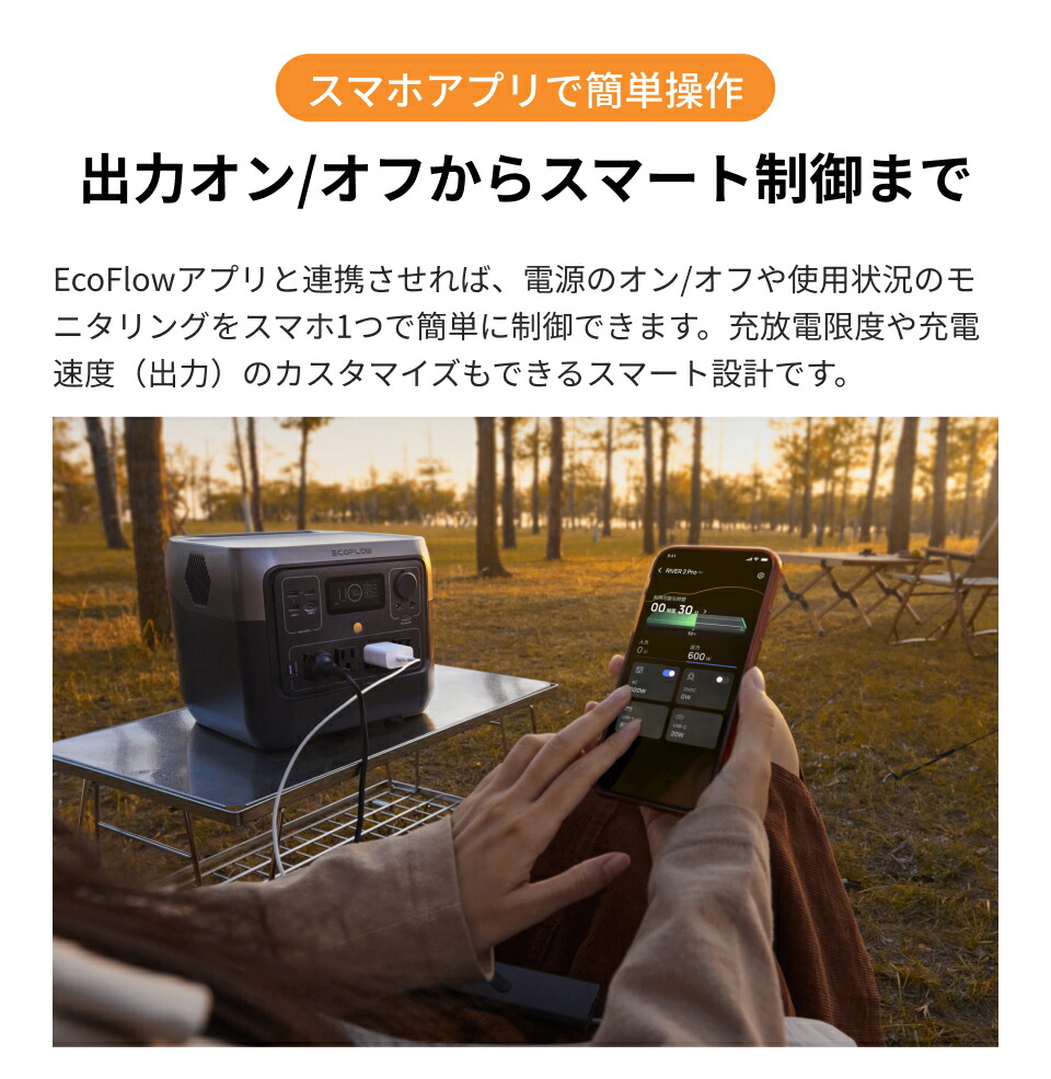 楽天市場】【クーポン利用で39,600円☆2/28~特別セール】EcoFlow