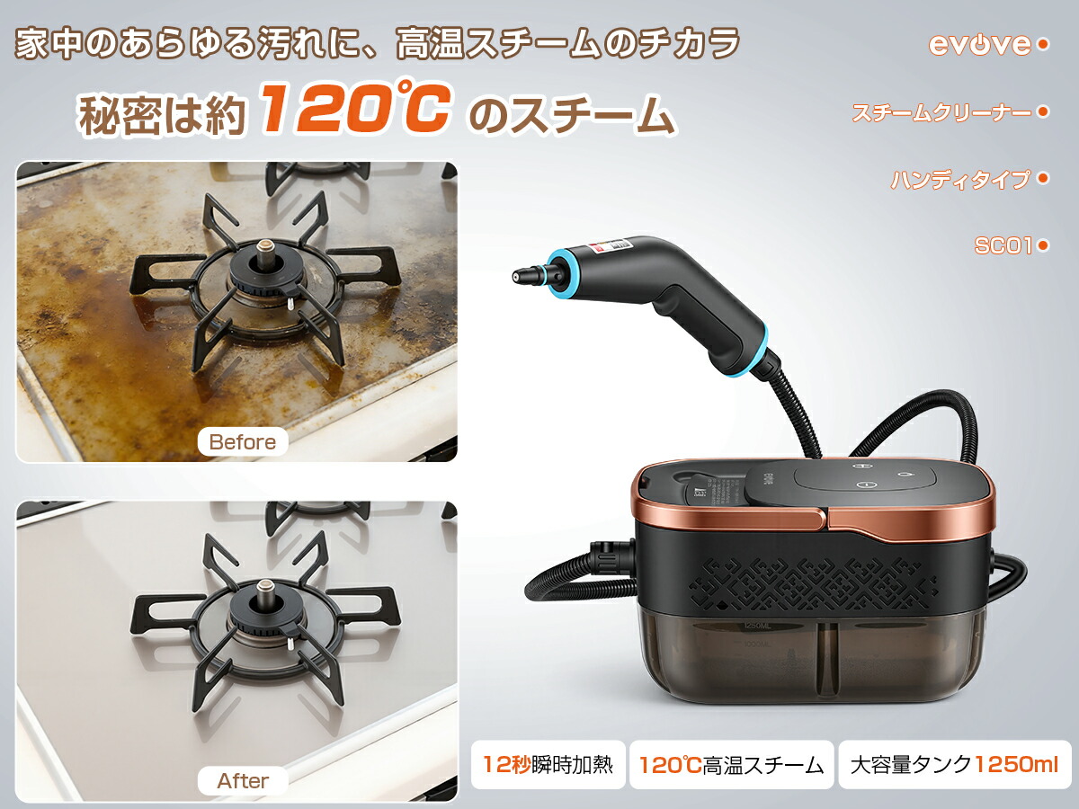 楽天市場】スチームクリーナー 小型 ミニ ボイラー式 送料無料 畳 除菌
