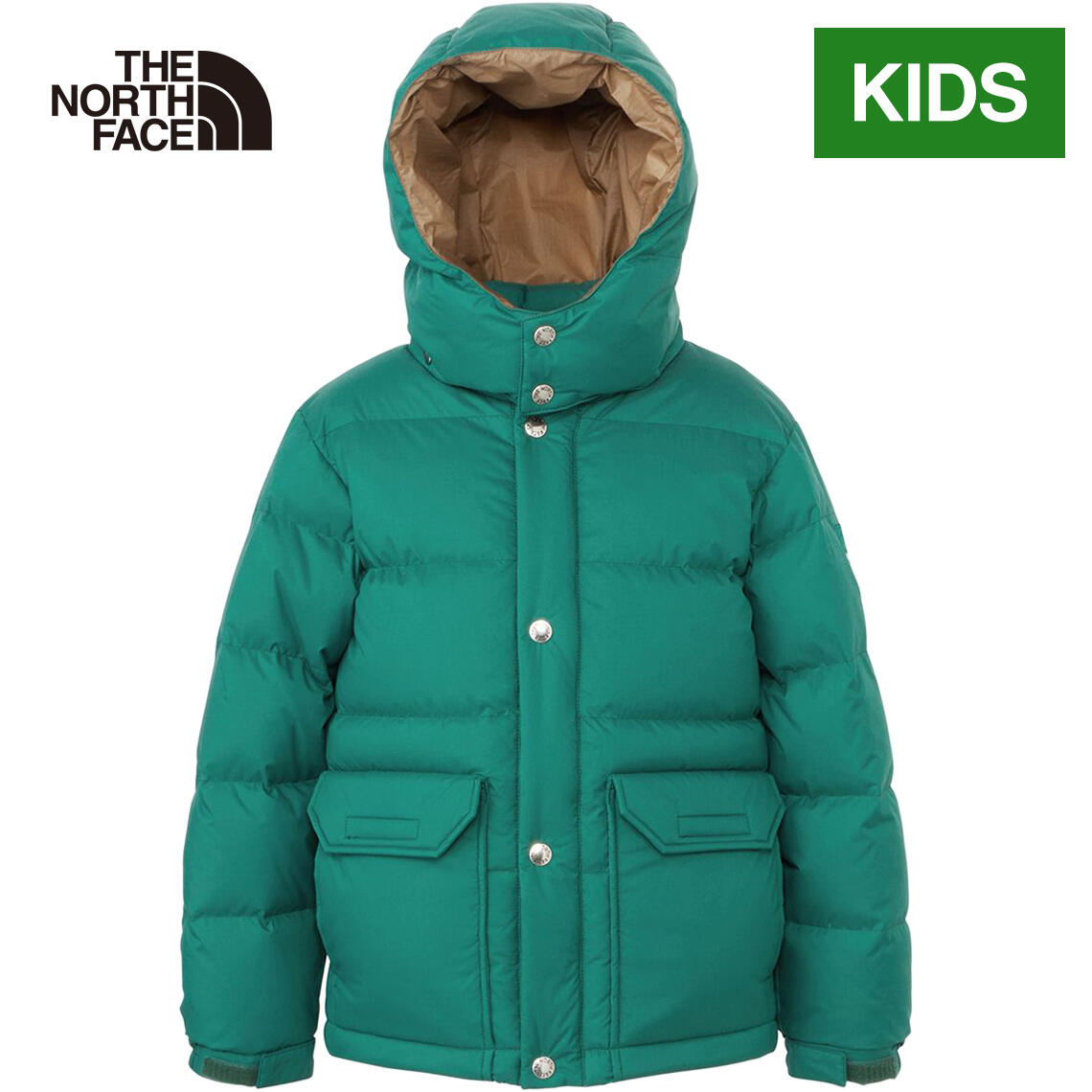 楽天市場】ザ・ノース・フェイス ノースフェイス キッズ ジャケット