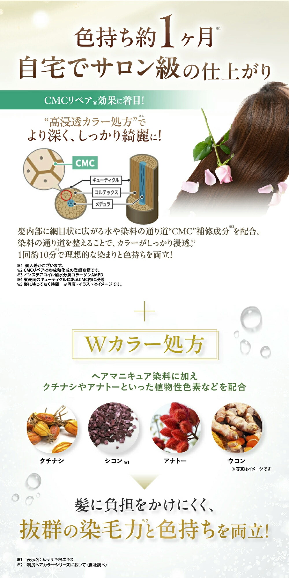 楽天市場】【3/3 20:00〜10%OFF】白髪用 利尻カラークリーム 170g×2本