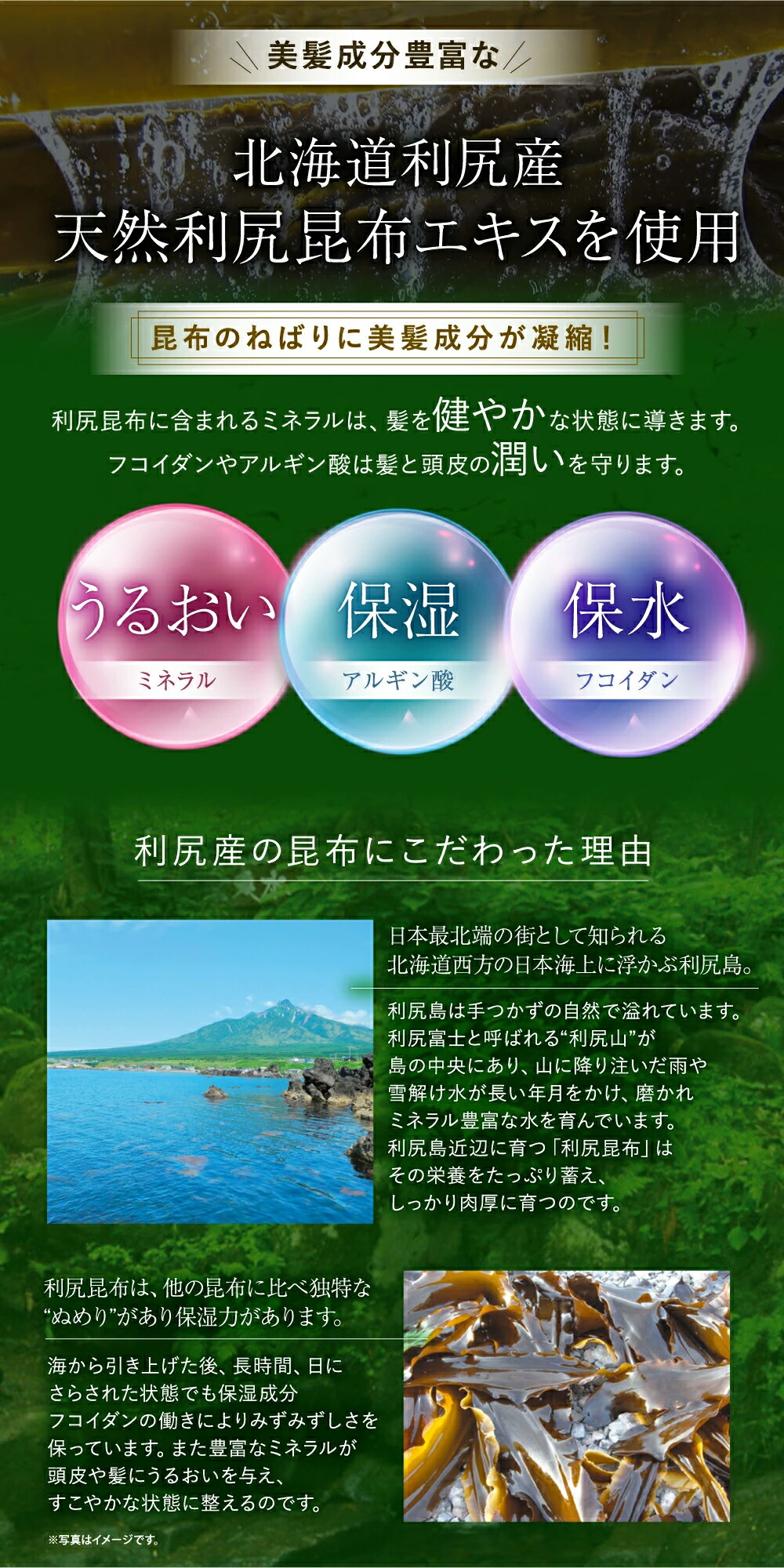 楽天市場】【3/3 20:00〜10%OFF】白髪用 利尻カラークリーム 170g×2本