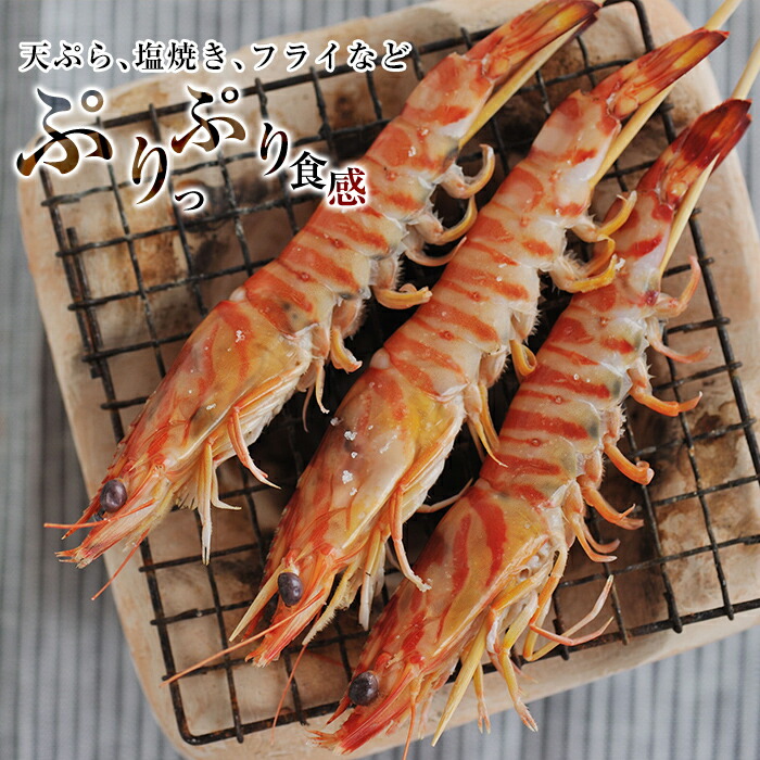 楽天市場】【ふるさと納税】＜数量限定！特別品＞冷凍車えび特大サイズ