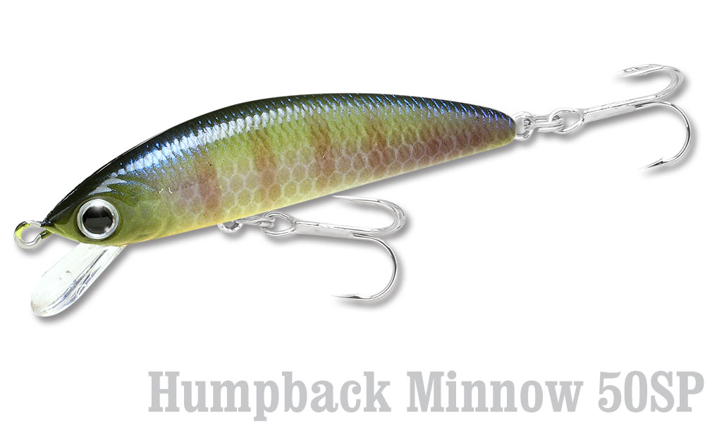 楽天市場】LUCKY CRAFT USA【ラッキークラフト】ハンプバックミノー