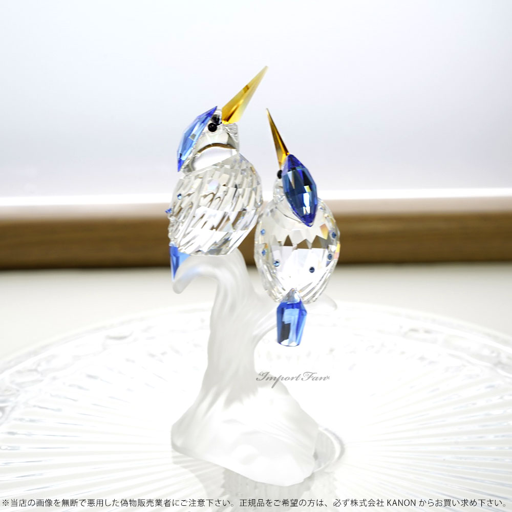 sw623323_2a.jpg