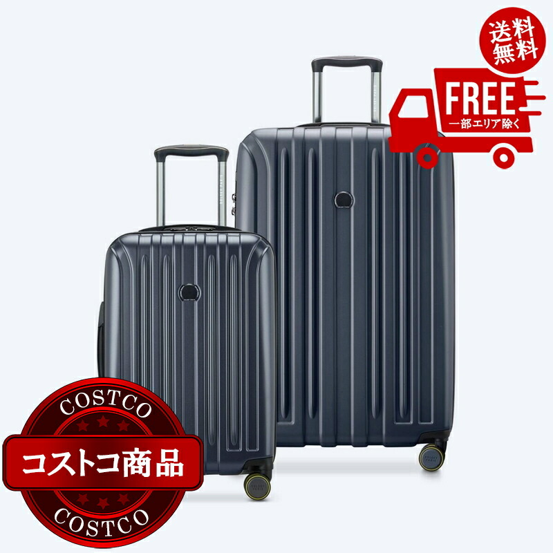 楽天市場】送料無料！(コストコ) デルセー アクセレイト 2個セット