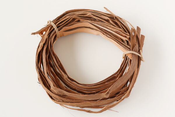 楽天市場】やまぶどうひご 節付 10本組み(約)長さ70〜100cm(約)幅8