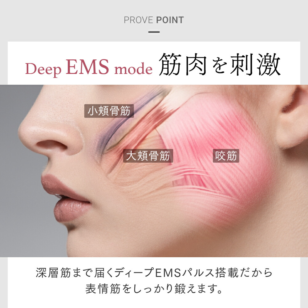 楽天市場】【公式｜期間限定 5%OFFクーポン+P5倍！】EMS 美顔器 リフト