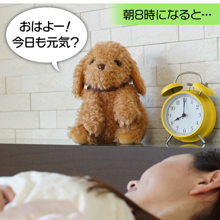 楽天市場】【365日出荷】 おしゃべりトイプードル ロボット 犬 認知症