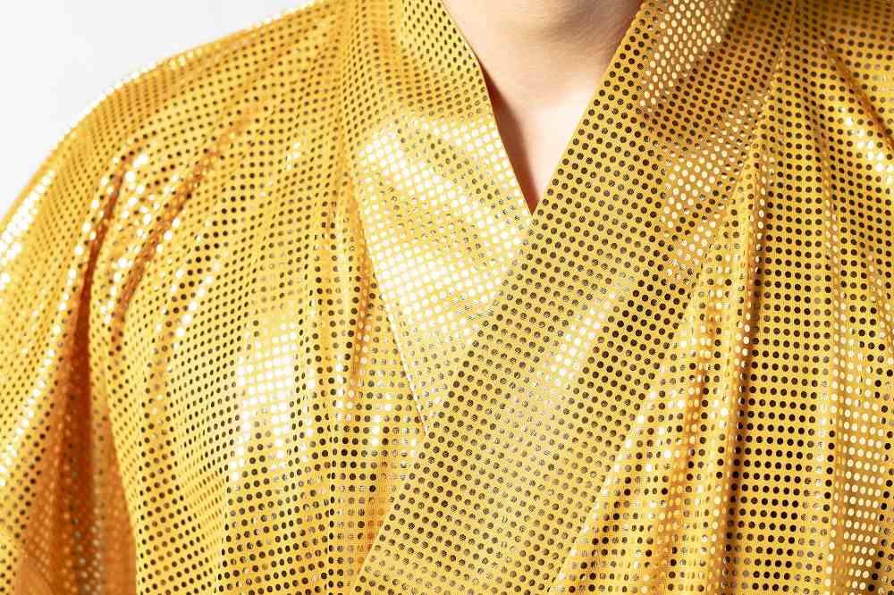 楽天市場】金色将軍（カツラは付属しません） [サンバ コスプレ