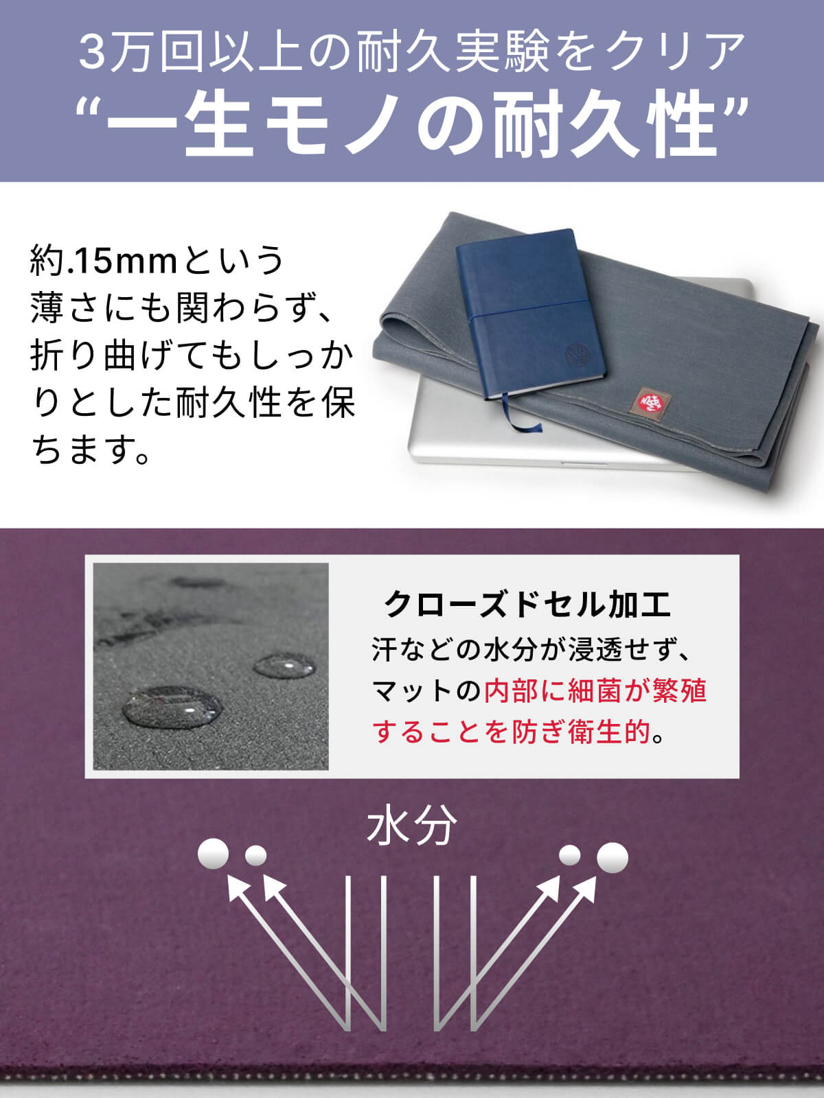楽天市場】【月末800円クーポン対象】26春夏新色！折りたたみ