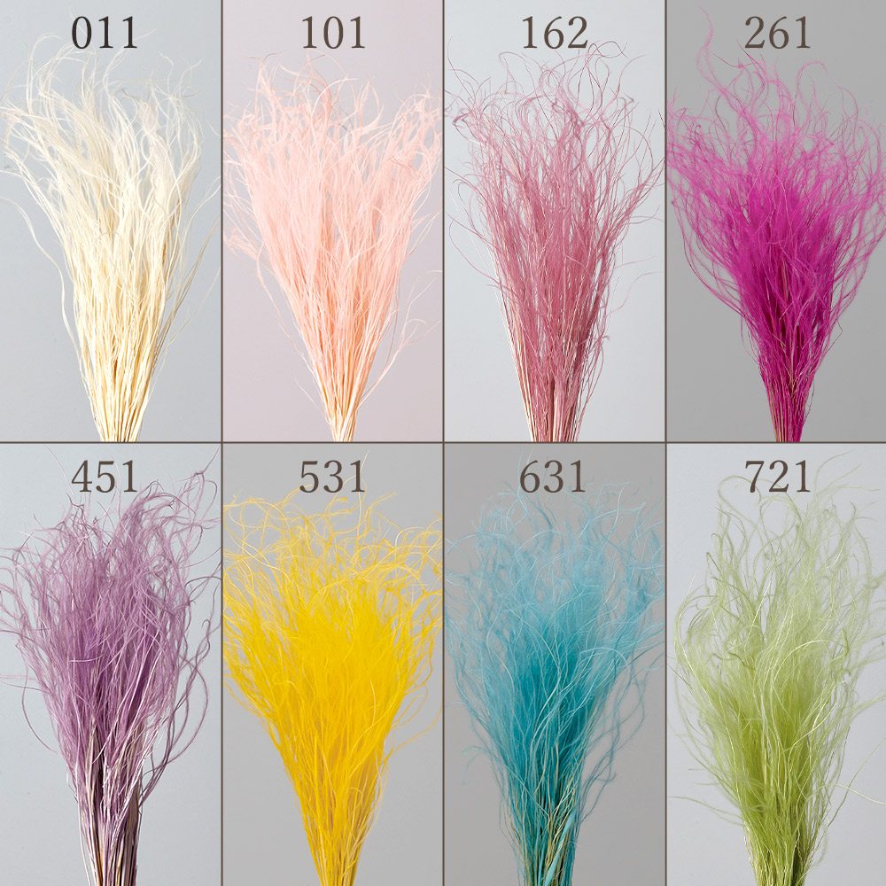 楽天市場】ドライフラワー 花材 とりよせ品 フェザーグラス 花材 素材
