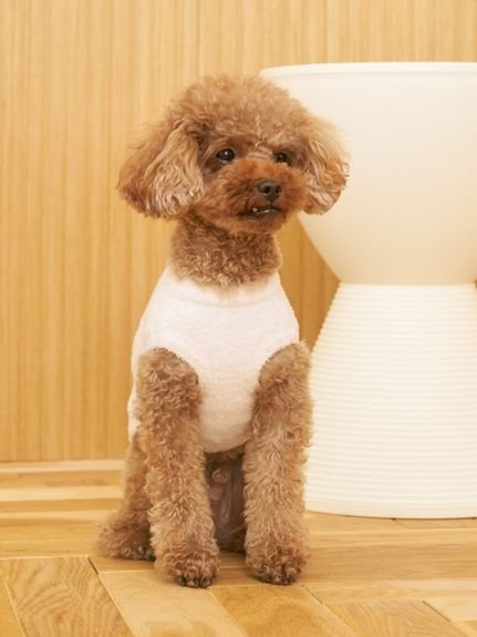 gelato pique｜【CAT&DOG】スムーズィートイプードル柄ジャガードプル