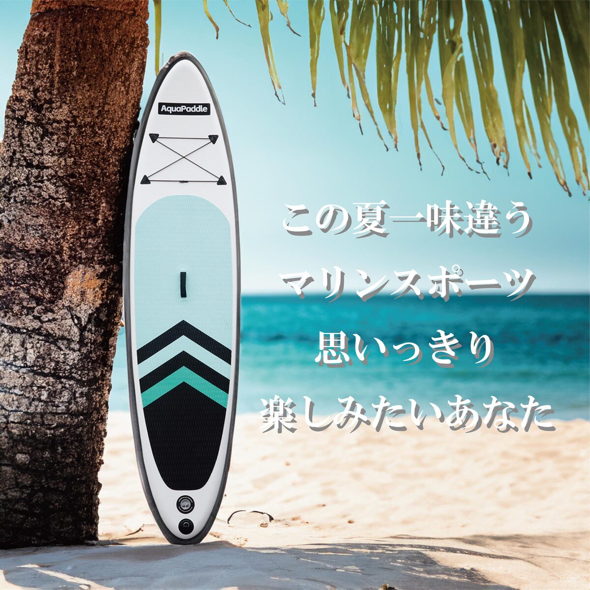 楽天市場】【 2026年 最新版 即納 】 サップボード 初心者 セット SUP