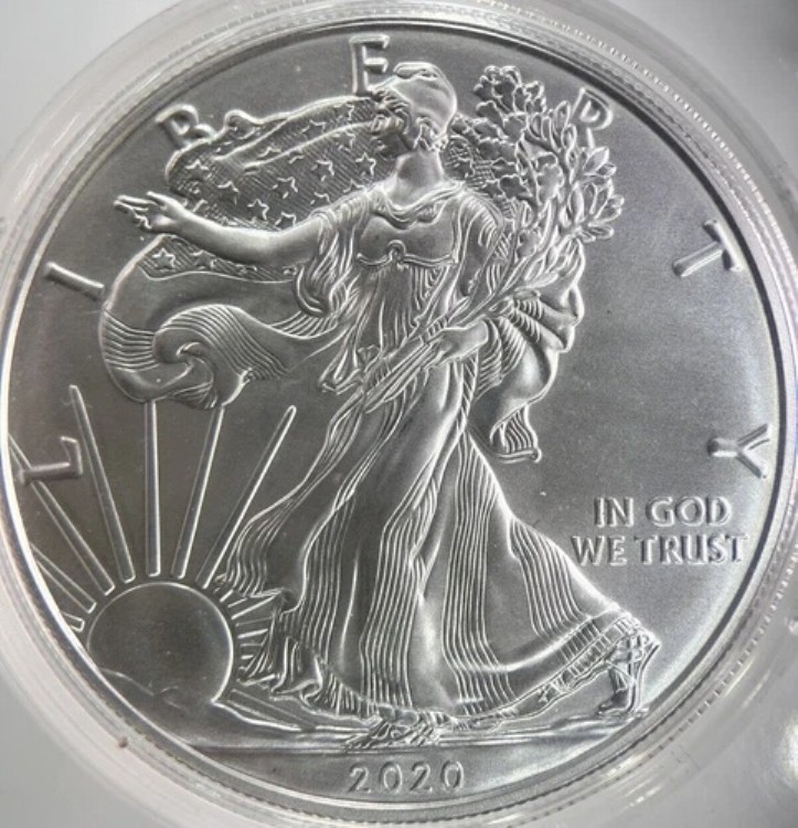 楽天市場】イーグル銀貨2020の通販
