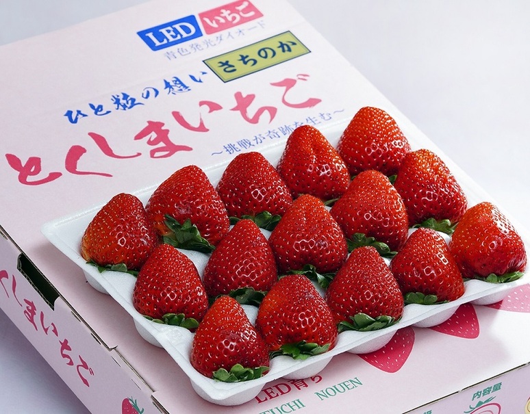 竹内農園 LEDいちご「とくしまいちご（品種 さちのか）」徳島県産 2