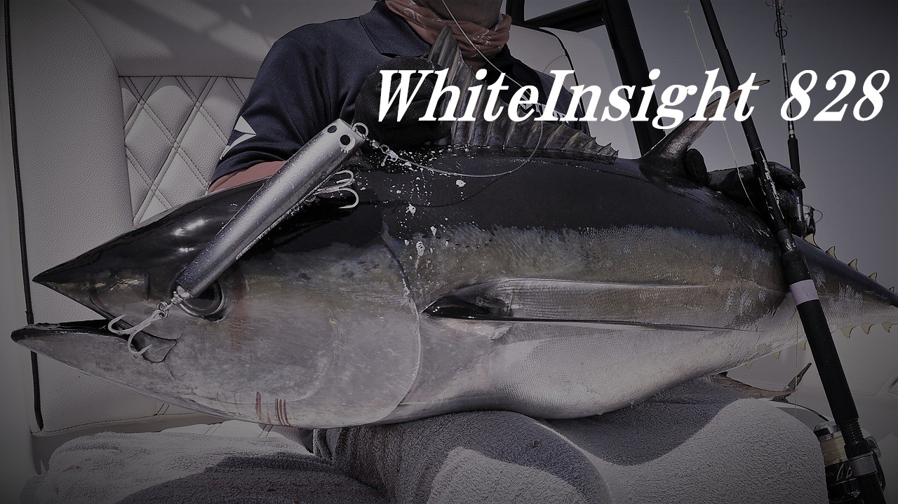 WhiteInsight 828 | TRUTH JAPAN