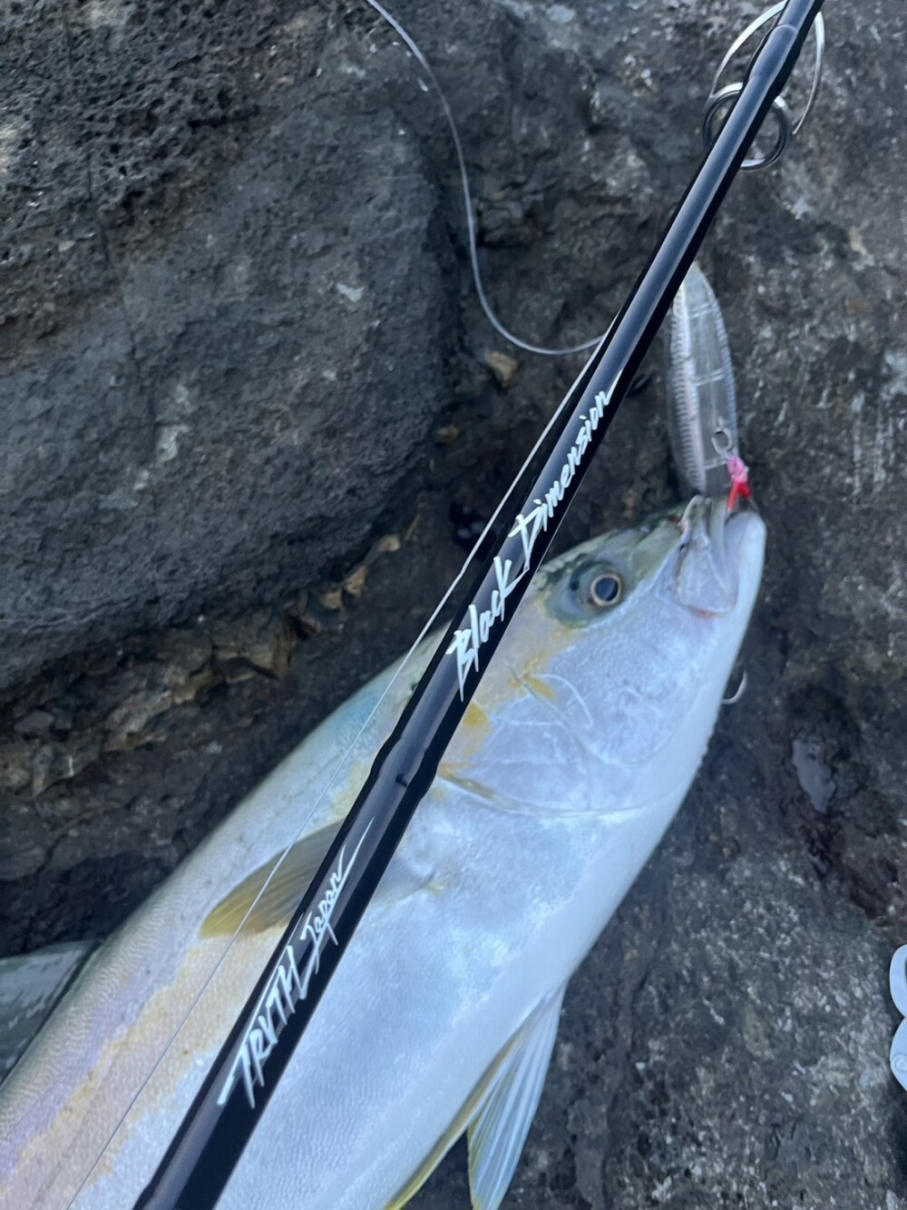 長崎県 ロックショアヒラマサキャスティング (BlackDimension95H