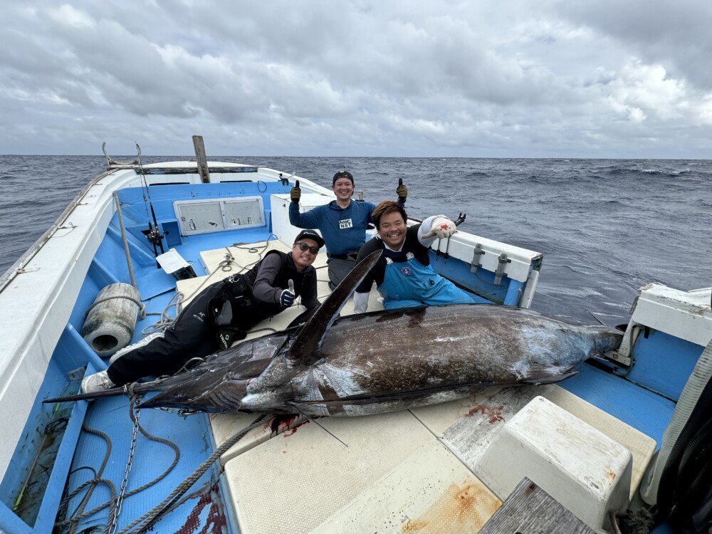 WhiteInsight 611 12 | TRUTH JAPAN