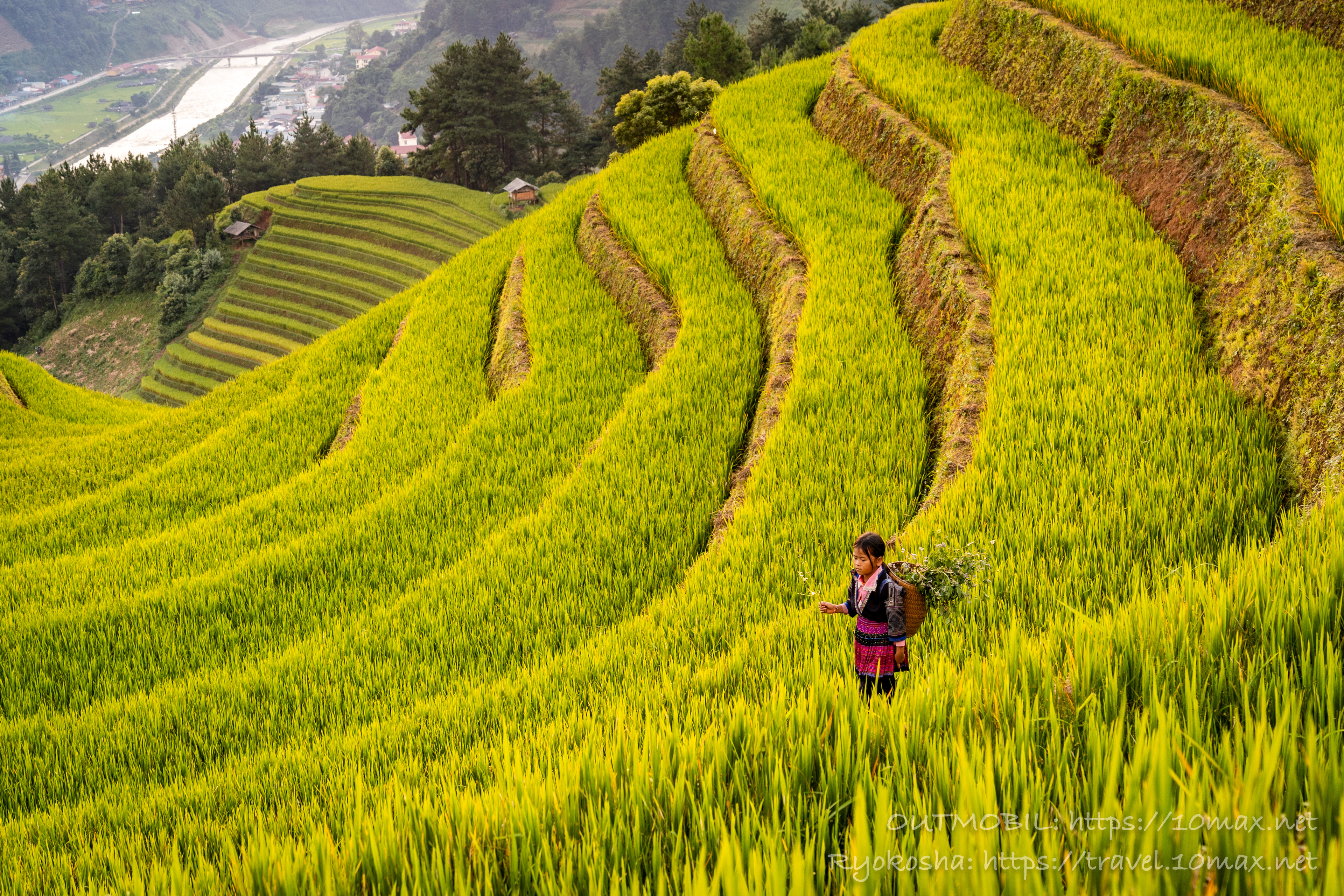 秘境ムーカンチャイの魅力 | ベトナムで圧倒的に美しい棚田とモン族の