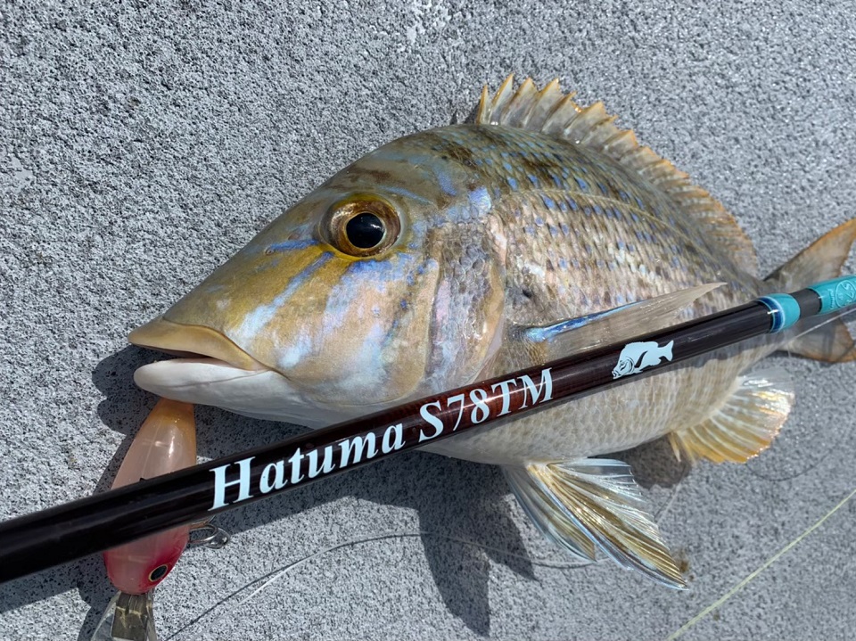 TULALA | Ford every stream | » Hatuma S78TM