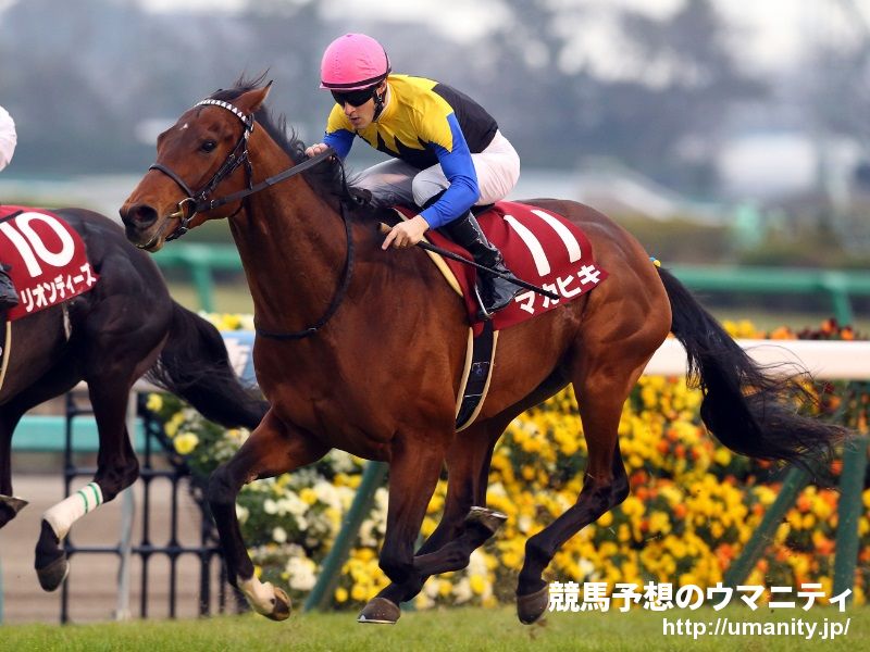 美品・現地】2004 きさらぎ賞 ブラックタイド 単勝馬券 京都競馬場 第2回