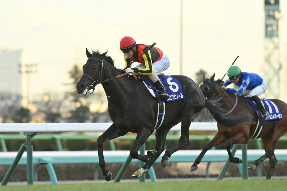 ホープフルS】クロワデュノールが末脚炸裂させて快勝！無傷3連勝で来春