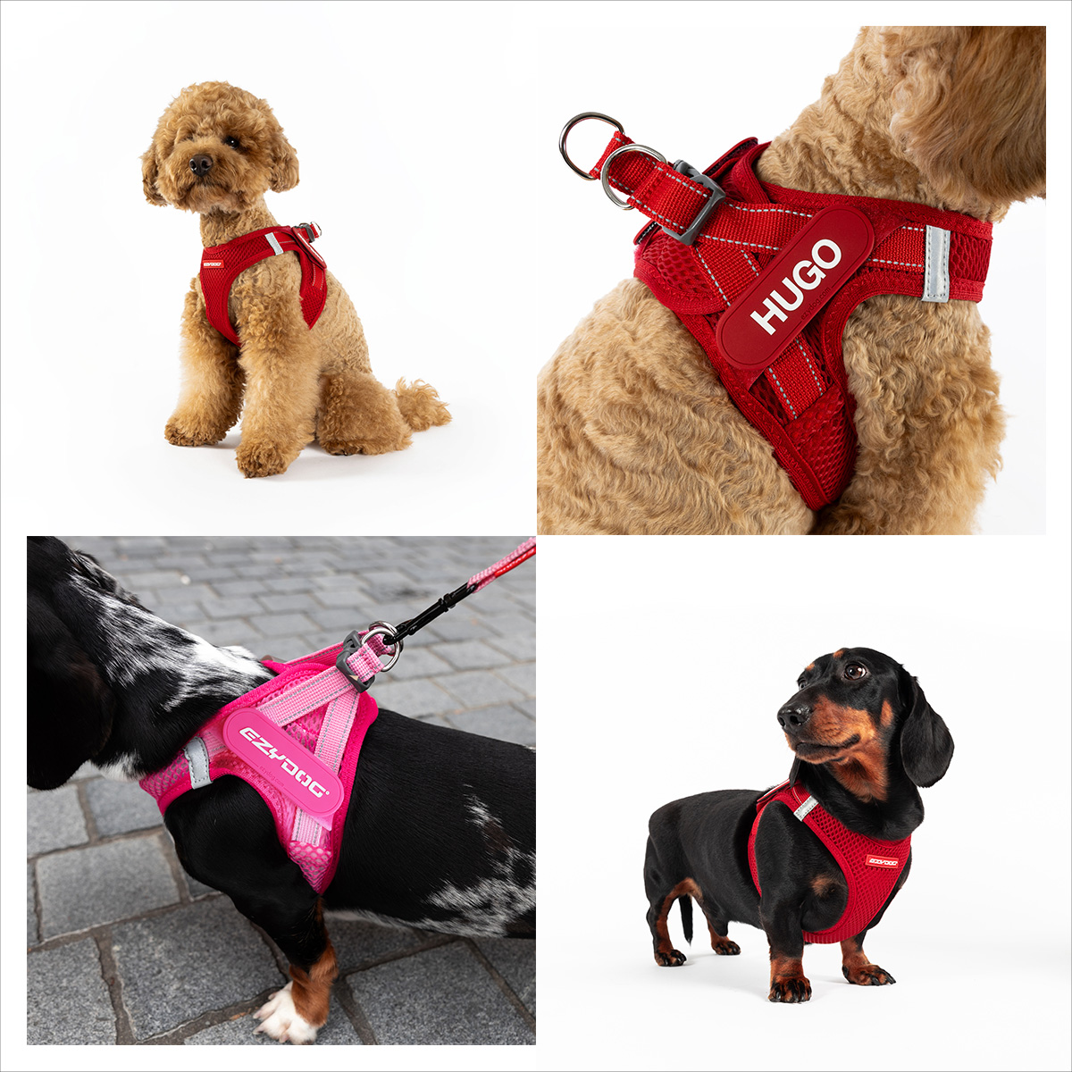 アクティブドッグギア EZYDOG 新商品「メッシュフィットハーネス」「新