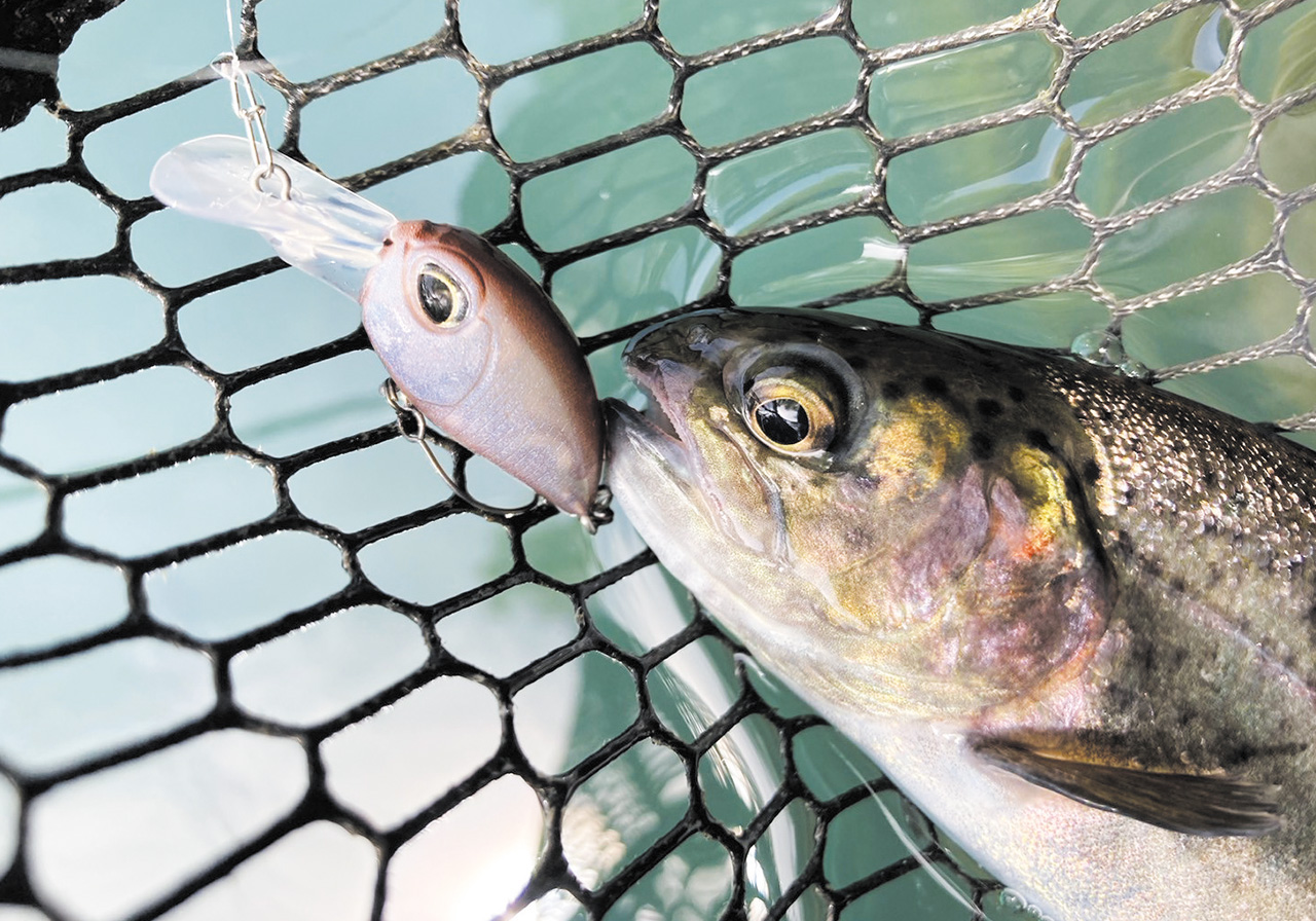 Haze（ヘイズ フローティング） | HARDBAITS | ValkeIN ヴァルケイン