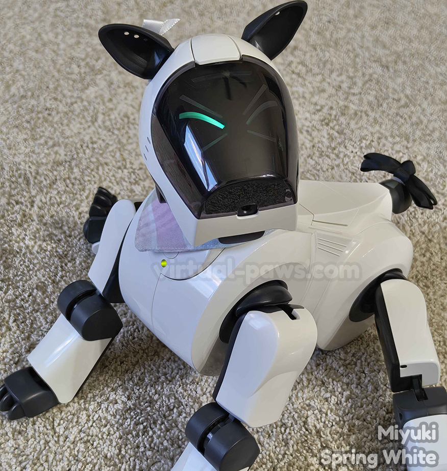 ERS-210 Aibo Overview | Learn About Aibo | Virtual Paws