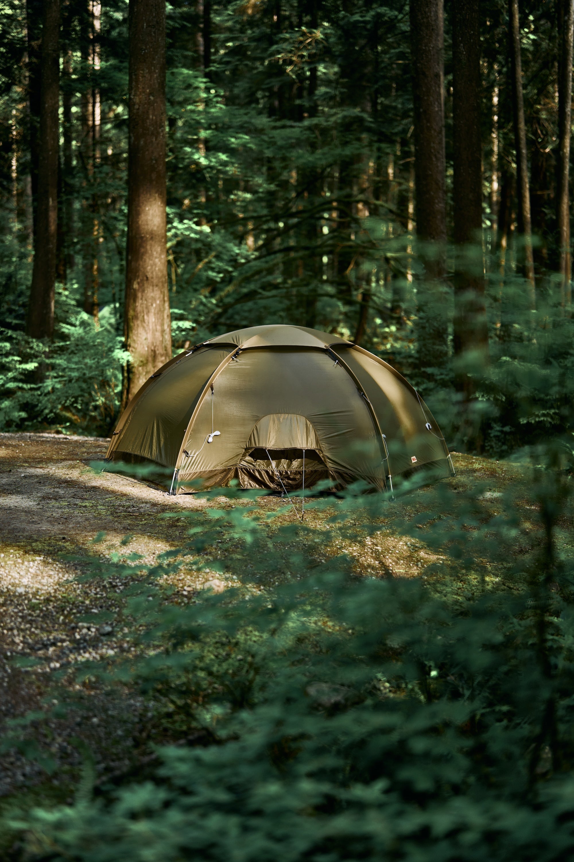 Fjallraven / Abisko Dome 3 – wanderout