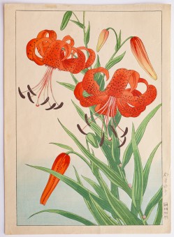 Animals and Plants: NISHIMURA HODŌ 西村蒲堂 (active 1930s)