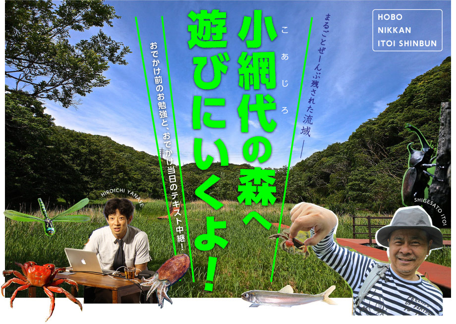 小網代の森へ遊びにいくよ！ - ほぼ日刊イトイ新聞