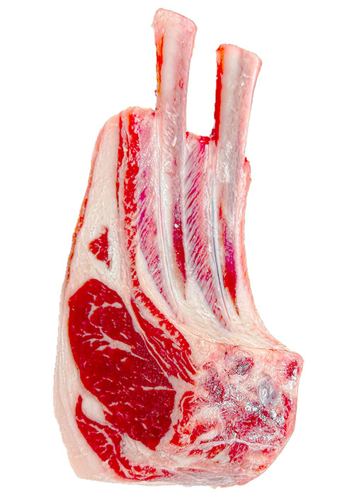 ラムチョップ祭り開催！！ジンギスカンWebは羊肉専門店～北海道「東洋