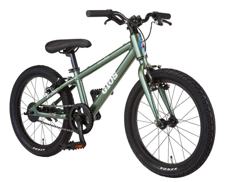 110：GIOS AMPIO ジャンク 引取限定：埼玉県所沢市 110：GIOS AMPIO