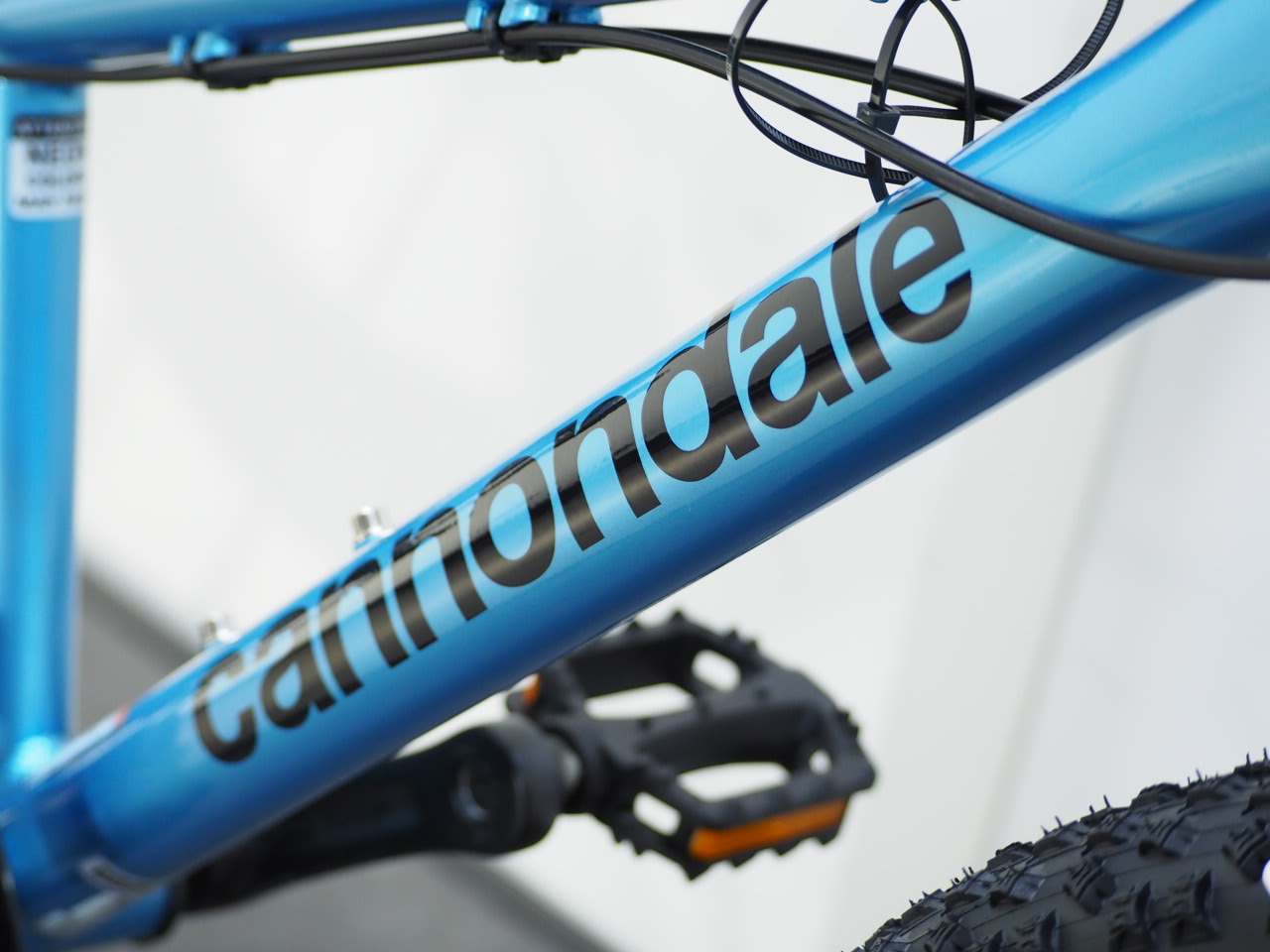 cannondale(キャノンデール) kids CUJO 20+ 2021年モデル | サイクル