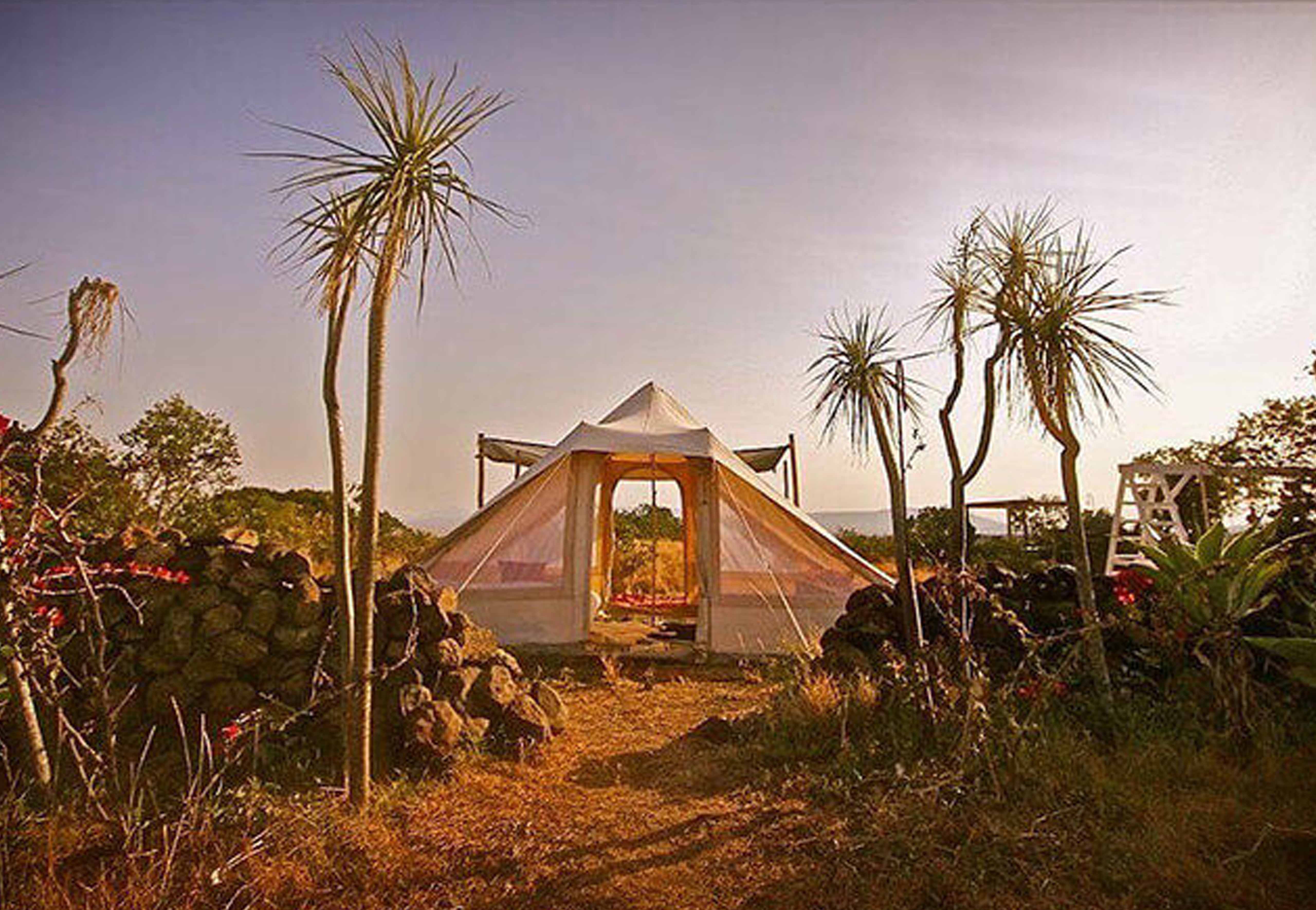 ROMDL_20_282_29.jpg?quality=80