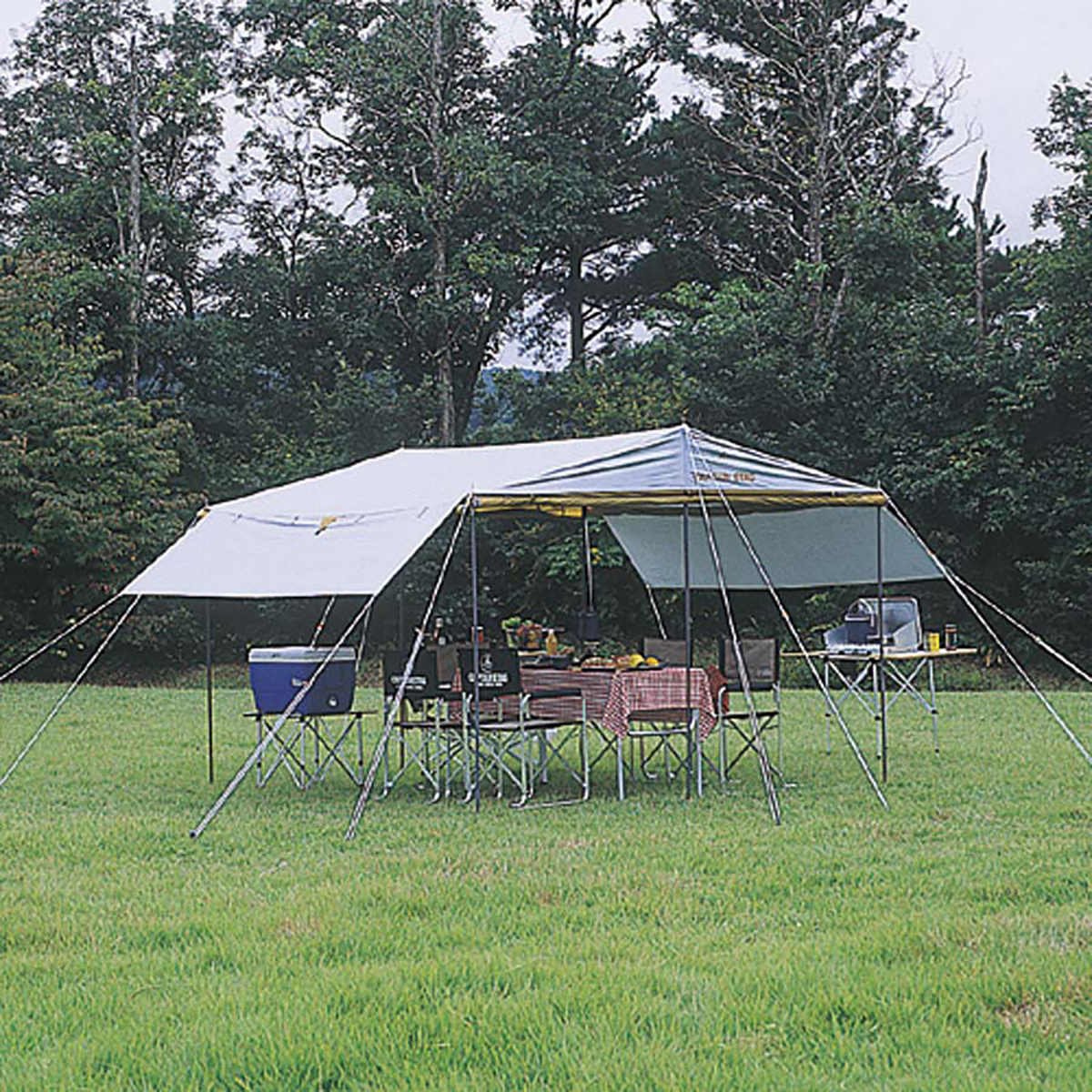 レジーナメッシュタープセット(キャノピー付) - アウトドア・キャンプ
