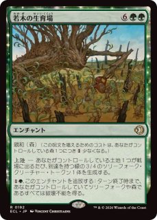 FOIL)積み重ねられた叡智/Accumulate Wisdom《日本語》【TLA】