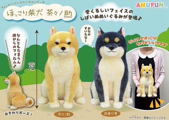 ≪5月の新商品≫ほっこり柴犬茶々ノ助☆アミューズプライズ-NEW ITEM