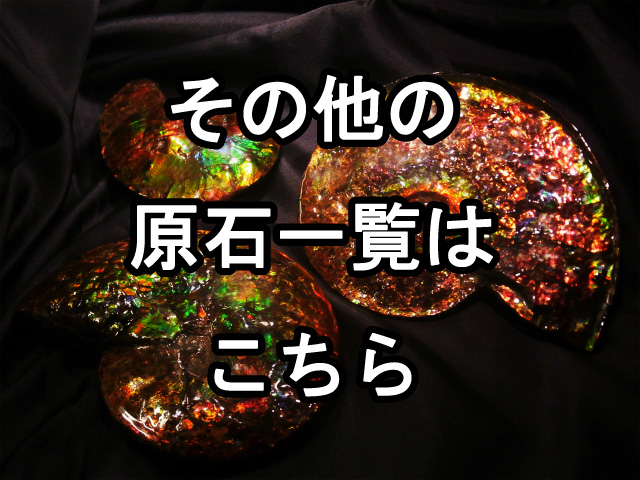 アンモライト原石 アンモライト研究所【化石ジュエリー宝石販売ルーム】