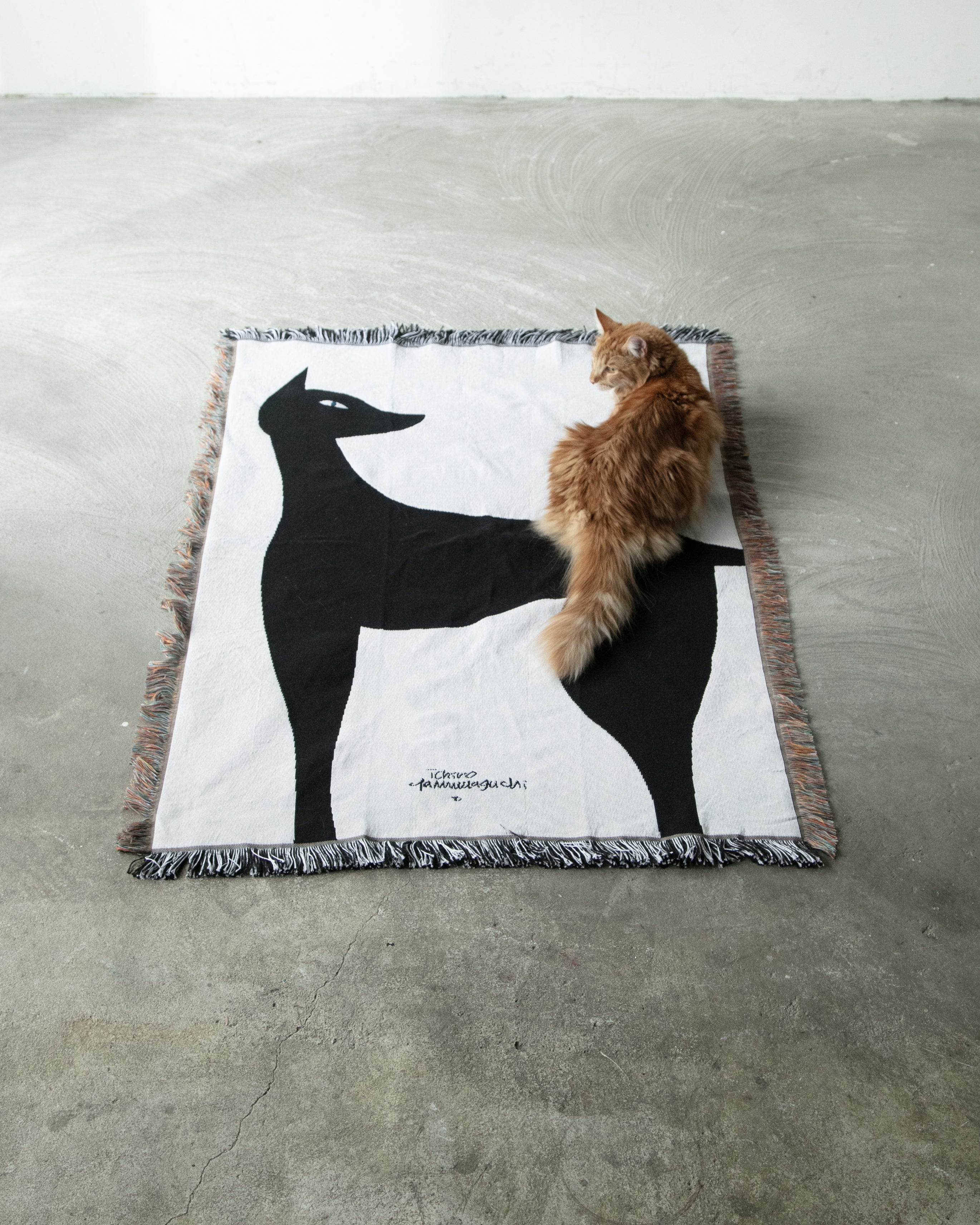 山口一郎 / blanket “kuro neko” | 猫と暮らす部屋に、上質なアートを