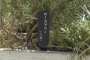 Aboc - アボック社 - デザインガーデン向け