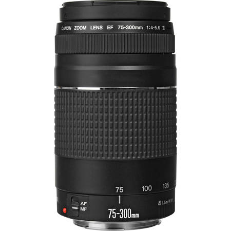 Canon EF 75-300mm f/4-5.6 III Lens 6473A003 - Adorama