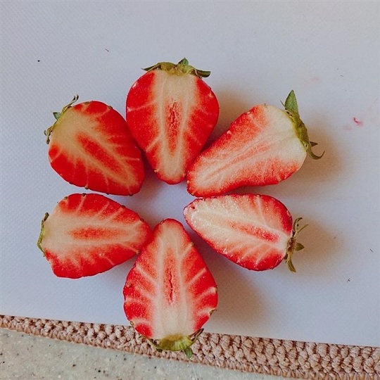 AIMARI FARM～あいまり農園～｜天空のいちご園