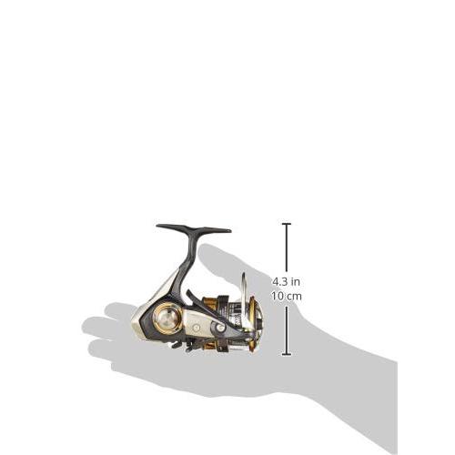 Daiwa LEGALIS LT3000-CXH Spinning Reel | eBay