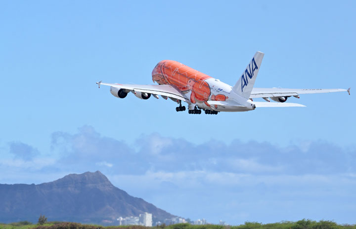 ANAのA380 3号機、ホノルル発も初便出発