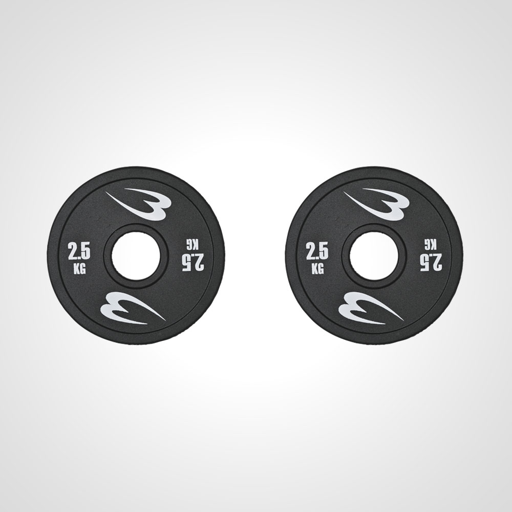 オリンピックアイアンプレート2．5KG 2枚セット PH007250ST