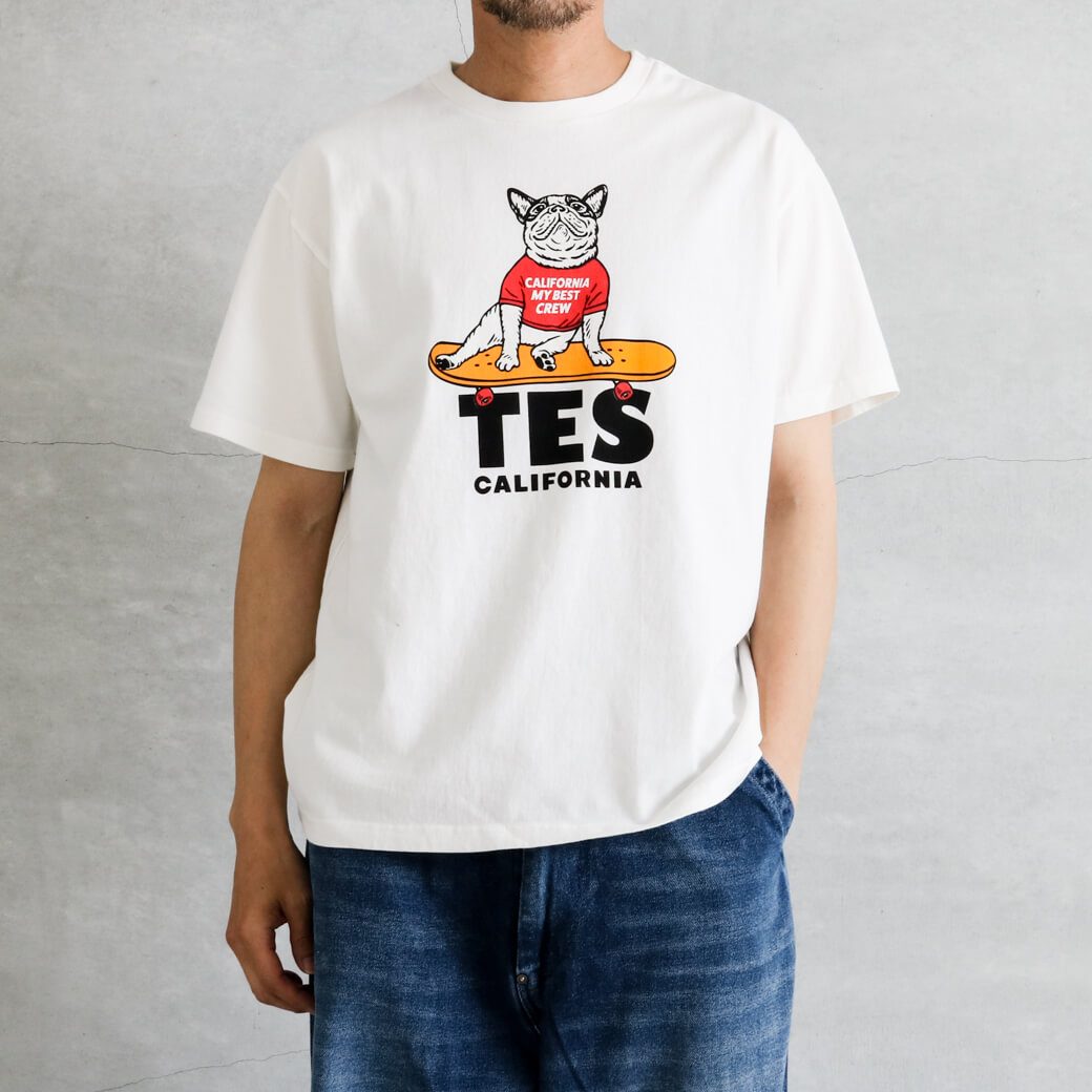 THE ENDLESS SUMMER BUHI ザエンドレスサマー テス スケートブシT