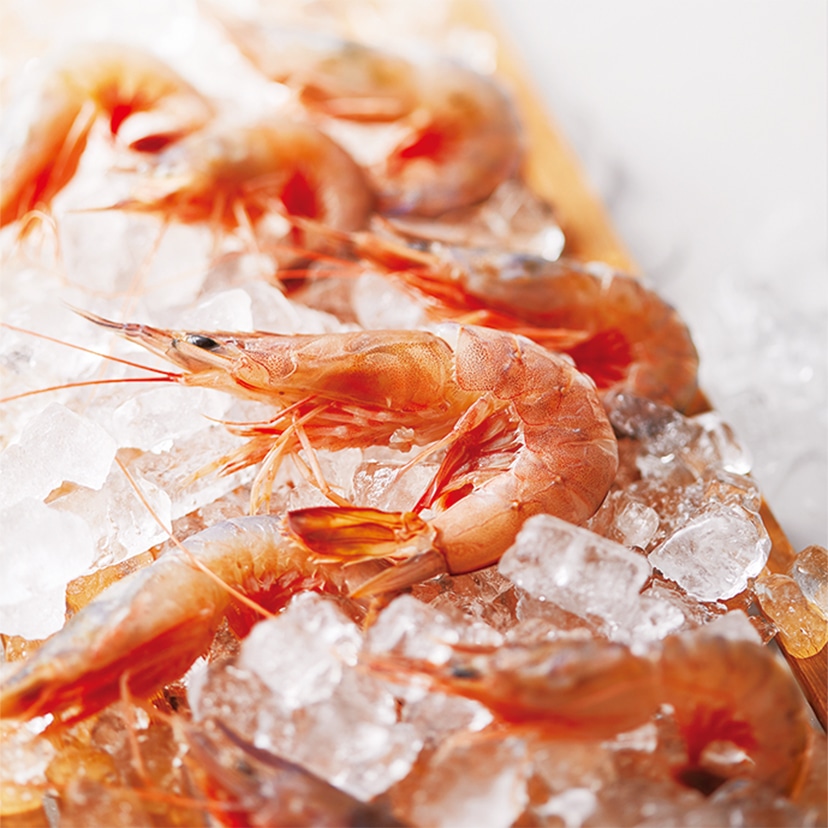 さくさく日記［詰合せ］20袋入: さくさく日記｜坂角総本舖（えび