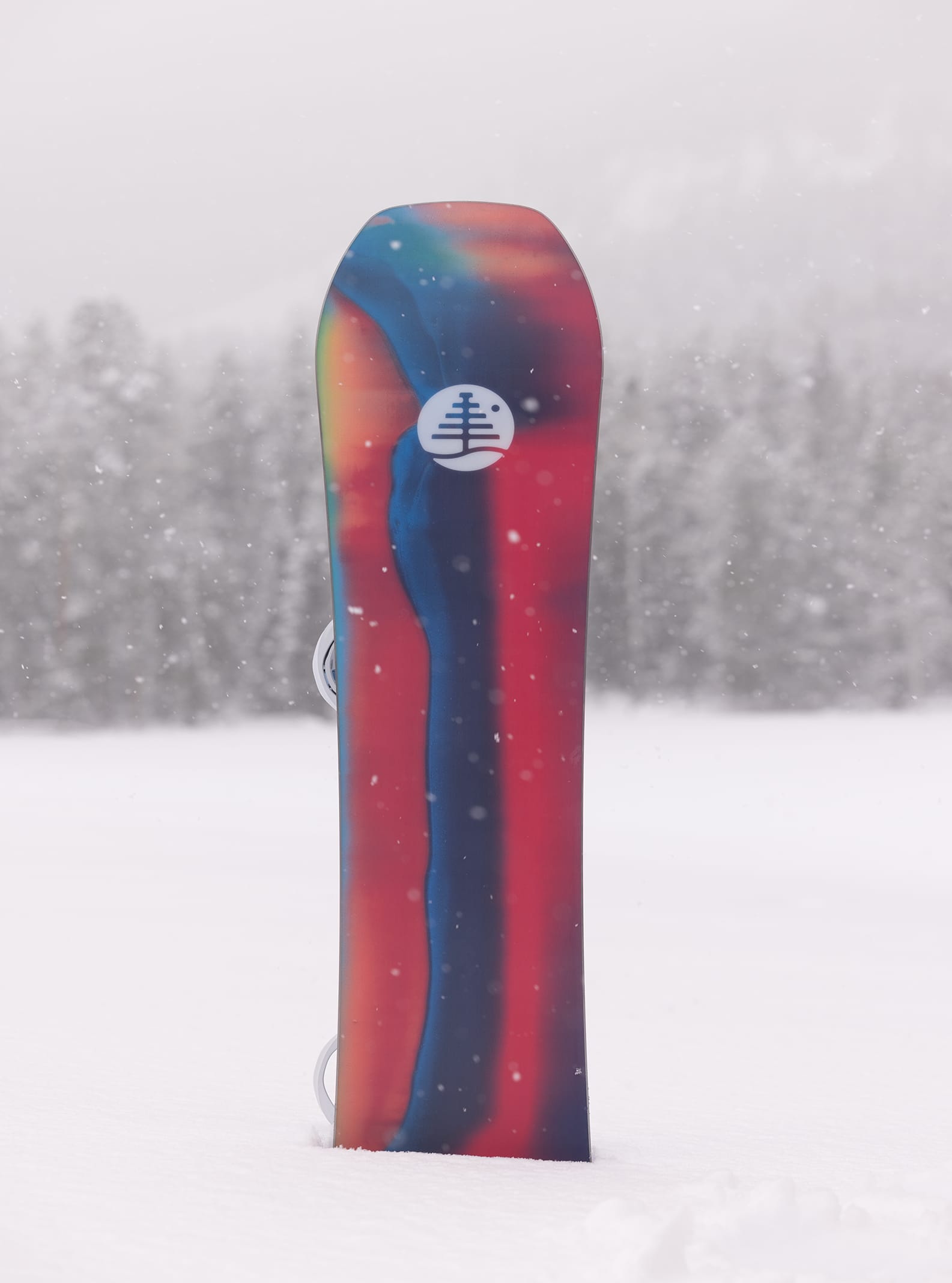 キッズ Burton ファミリーツリー ホームタウンヒーロー キャンバー